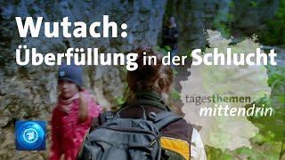 Wutach Überfüllung in der Schlucht  tagesthemen mittendrin [upl. by Oniratac]