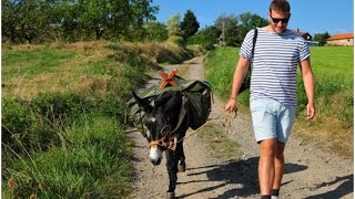 Frankreich Wanderungen mit dem Esel im Département Loire [upl. by Atla]