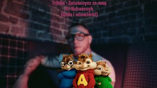 Tribbs  zatańczysz ze mną ft kubańczyk alvin i wiewiórki [upl. by Verile]