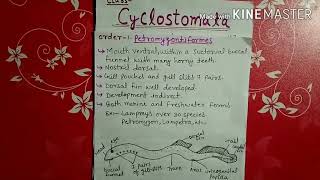 Class cyclostomata explained in Hindi [upl. by Ezechiel]