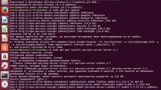 Percona Server Installation on Ubuntu [upl. by Anihs]