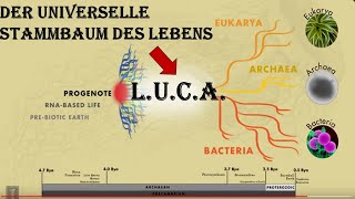 Last Universal Common Ancestor LUCA Vorlesung Entstehung des Lebens Teil 10 [upl. by Dolores679]