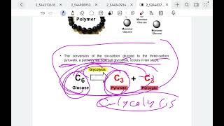 biochemistry lecture 4amp5 part one [upl. by Ciredec]