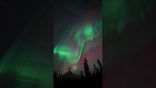 Magical aurora display in Fairbanks Alaska  Greatland Adventures [upl. by Noivax236]