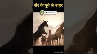 बूते से बाहर है।। shortvideo lion elephant lionvselephant [upl. by Sito]