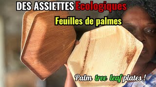 J’achète des assiettes en feuilles gaines  de Palmiers  Palm tree leaf plates ecologie [upl. by Hsot14]