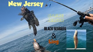 Party Boat Black seabassLing bottom fishing New Jersey spring season Natural bait worked best [upl. by Seow207]