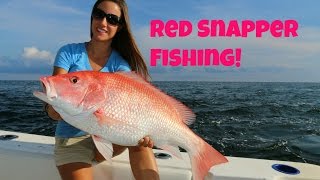 Best of Venice Louisiana RED SNAPPER fishing part 1 [upl. by Naesal]