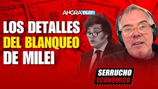 SACAR O NO LOS DĂ“LARES PUNTO POR PUNTO SORPRESAS DEL BLANQUEO DE MILEI  Claudio Zlotnik [upl. by Aronel]