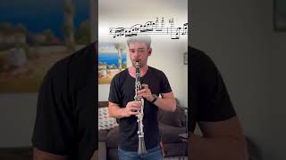 Beethoven Challenge clarinettist clarinet musician clarinetplayer beethoven [upl. by Zacharias]