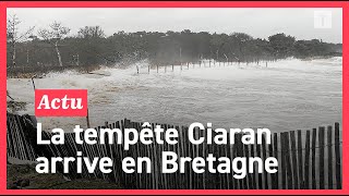 Tempête Ciaran  à quoi fautil sattendre pour la météo des prochains jours en Bretagne [upl. by Celene]