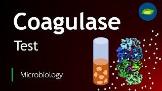 Coagulase test in microbiology  Staphylococcus aureus  Microbiology  Basic Science Series [upl. by Mika397]