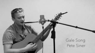 quotGale Songquot The Lumineers Cover by Pete Siner [upl. by Nwahsd]