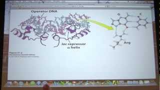 49 Biochemistry Translation IIIGene Expression I Lecture for Kevin Aherns BB 451551 [upl. by Aidahs437]