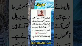 SUBAHANLLAH 🙏 Right 🙏quotes youtubeshorts poetry islamicshorts motivational umdaalfaz shayari [upl. by Ytte413]