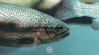 Charles Andersen Advice from a Trout [upl. by Rianon]