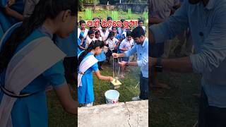 ପାଣି ଭିତରେ କୁମ୍ପି 💥 shorts ytshorts diwali firecracker experiment mazaakarisikhiba [upl. by Ffirahs544]