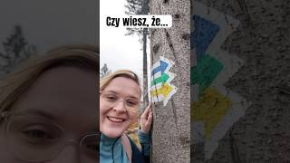 Ciekawostki o PN Gór Stołowych 🏔️ travel didyouknow ciekawostki travelvlog [upl. by Yenffad]