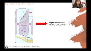 Anatomia e Fisiologia  Orecchio [upl. by Rawna]