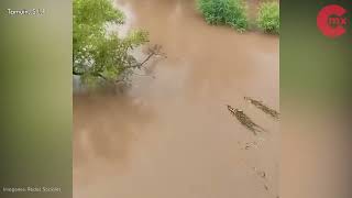 Vídeo 🎥 LLUVIAS TORRENCIALES AÍSLAN COMUNIDADES Y CAUSAN DESBORDE DE RÍOS EN TODO EL ESTADO⛈️‼️ [upl. by Ahsat]