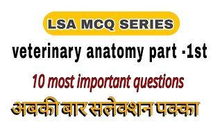 Veterinary Anatomy MCQ [upl. by Ylatfen236]