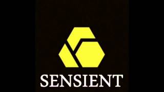 Sensient Live Mix [upl. by Neelrihs]