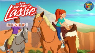 The New Adventures of Lassie  Round Up   Cartoon Series  MyChannelu8i [upl. by Siro]