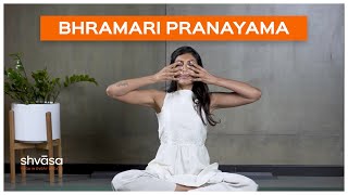 Bhramari Pranayama  Bhramari Pranayama for Beginners  Bhramari Pranayama Breathing Exercise [upl. by Anifad11]