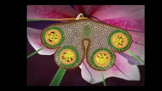 reproduction in flowering plants class 12 in 3D animation complete chapter in one short [upl. by Molton]