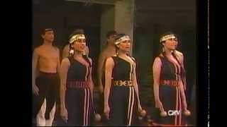 Ballet Folklorico Antumapu en Olmue 1995 Mapuches [upl. by Atauqal]