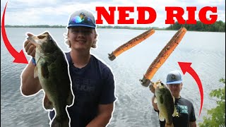 Here’s why the NED RIG is 1  Master fishing a Ned Rig [upl. by Jsandye]