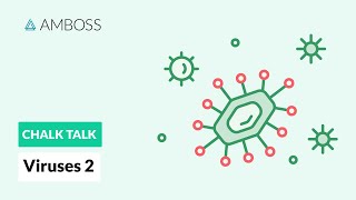 Viruses  Part 2 DNA vs RNA Viruses [upl. by Freed]