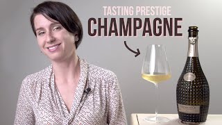 How Should We Be Tasting Champagne  Wine Folly [upl. by Hoagland655]