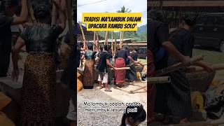 Upacara Adat Toraja yang Unik adattoraja upacaraadat torajaunik [upl. by Helas]