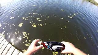 RC Boat Eaten By Alligator [upl. by Kakalina]