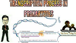 Transcription in prokaryotes  Molecular biology  for NEET AIIMS JIPMER [upl. by Attenra569]