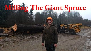 Milling The Giant Spruce [upl. by Ardyaf]