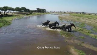 COASTAL AVIATION  The Flying Safari  Ruaha and Selous [upl. by Marjy]