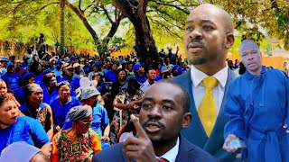 BREAKING NELSON CHAMISA BLUE NATION FINALLY LAUNCH IN CHIRUMHANZI HONA ZVANGA ZVICHITA MADZIMAI IWE [upl. by Cormick127]