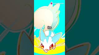 Pachirisu The Adorable Electric Squirrel cute pokemon pachirisu pokedex [upl. by Audrit115]