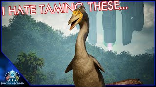 Herperornis Taming Is The Worst  Ark Survival Ascended EP56 [upl. by Ellives]