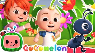 Ants Go Marching Dance  Dance Party  CoComelon Nursery Rhymes amp Kids Songs [upl. by Bradly]