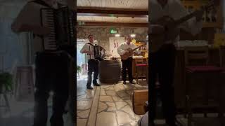 traditional croatian music [upl. by Elnar]