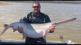 FISH4FUN SPOONBILL SNAGGING ON TRUMAN LAKE [upl. by Bixler]