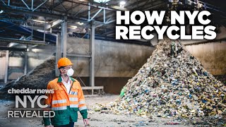 How Much Does New York Actually Recycle  NYC Revealed [upl. by Blakeley]