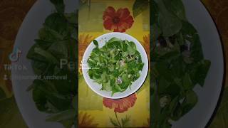 Salade Rapido [upl. by Nidorf]