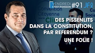 Des pissenlits dans la Constitution par référendum  Une folie   VCP 91 [upl. by Achilles]