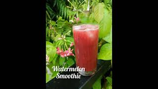 Watermelon Smoothie shorts youtubeshorts watermelonsmoothierecipe indianrecipe indianfood [upl. by Giustina]