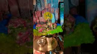 Banke Bihari ki dekh chhata 🙏🙏 song music musicgenre 🙏🙏🙏 [upl. by Donald]