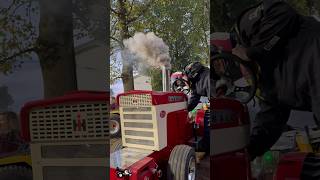 560 Diesel Garden Tractor 🔥 gardentractor tractorpulling [upl. by Stephen597]